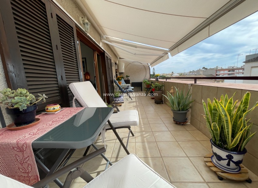 Revente - Appartement - Almoradí - Inland