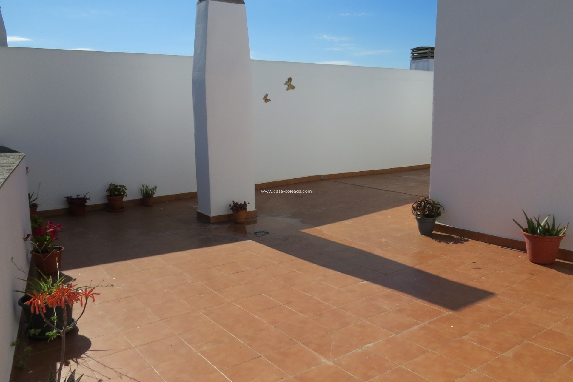 Revente - Appartement - Almoradí - Inland
