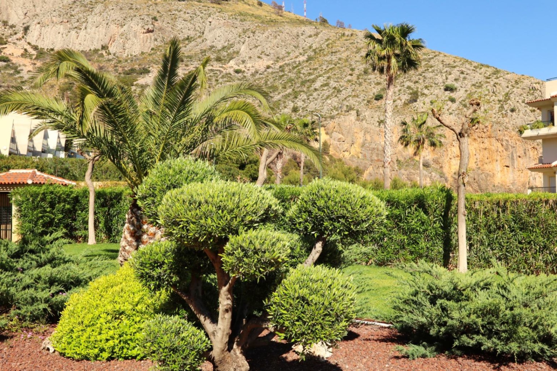 Revente - Appartement - Altea - Costa Blanca