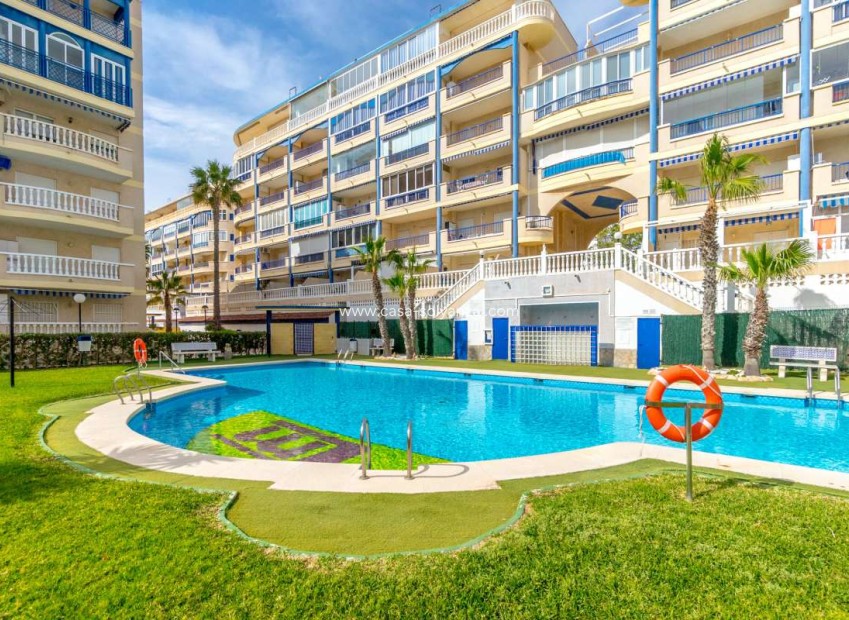 Revente - Appartement - Arenales del Sol - Costa Blanca