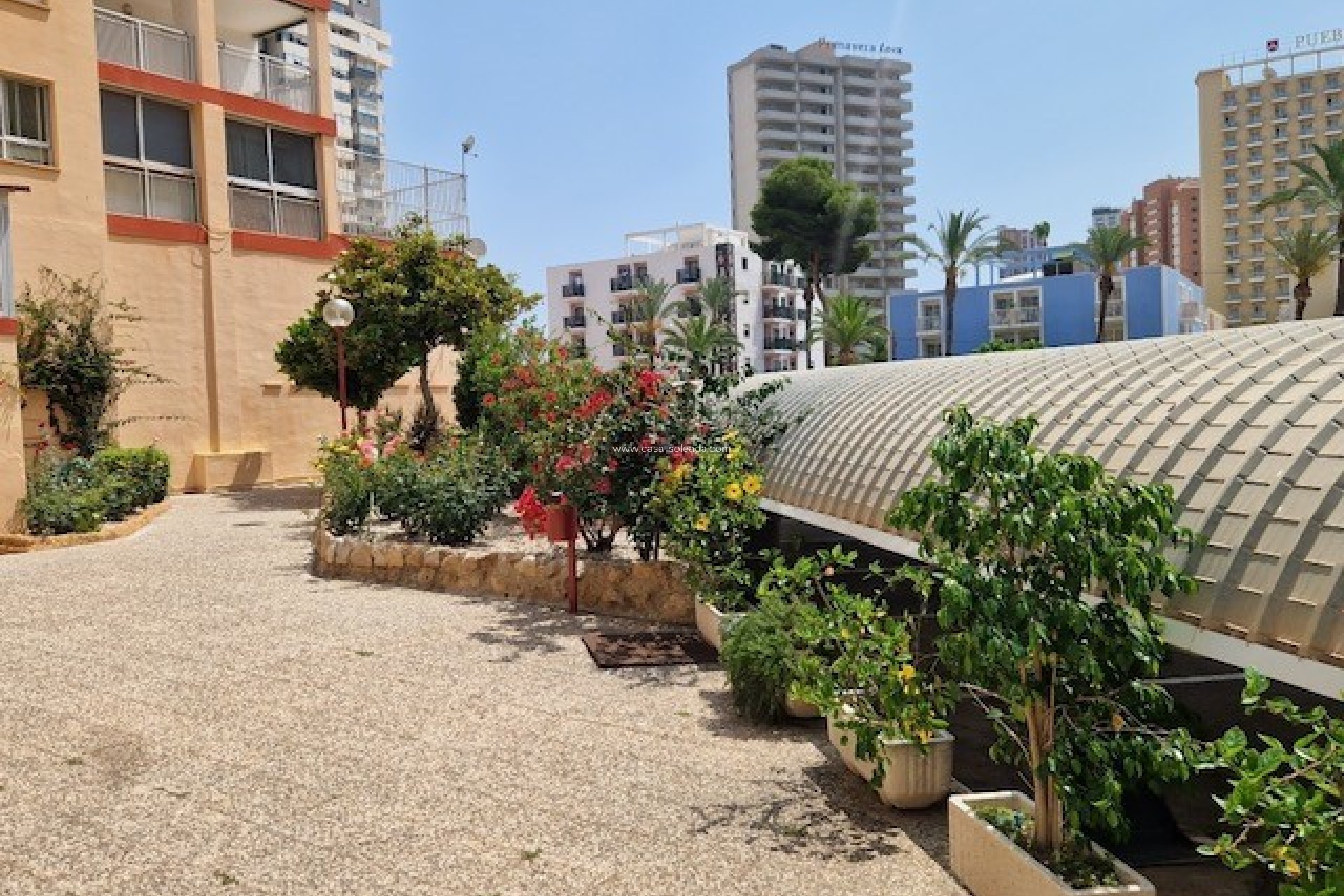 Revente - Appartement - Benidorm - Costa Blanca