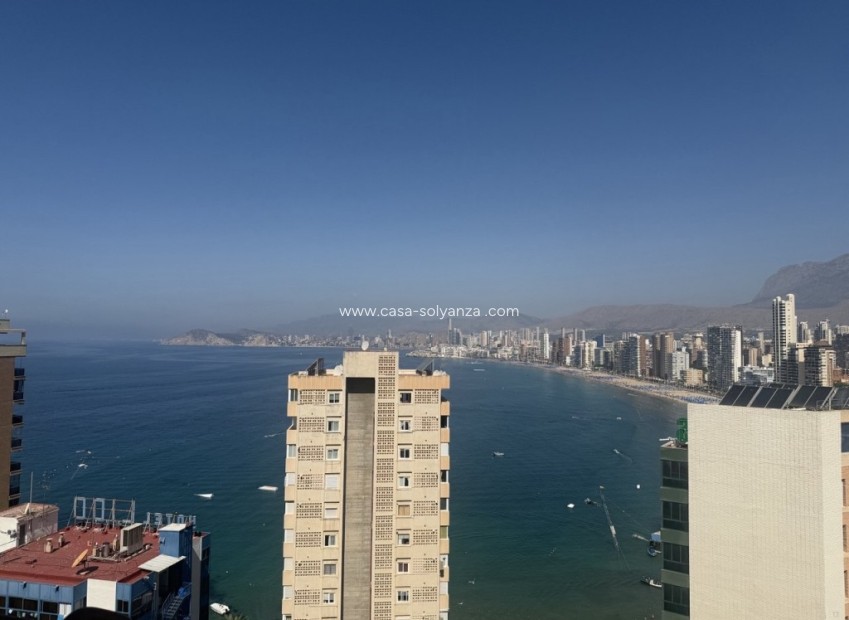 Revente - Appartement - Benidorm - Costa Blanca