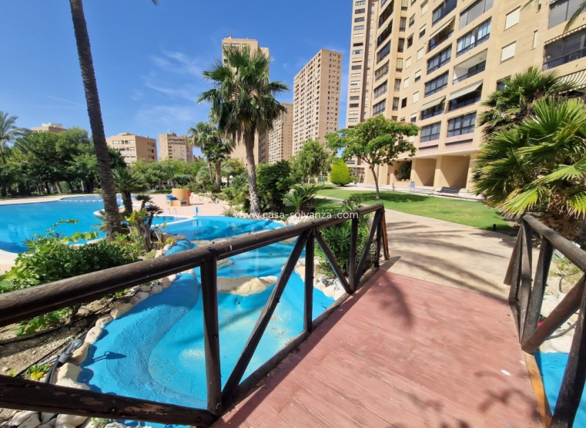 Revente - Appartement - Benidorm - Costa Blanca