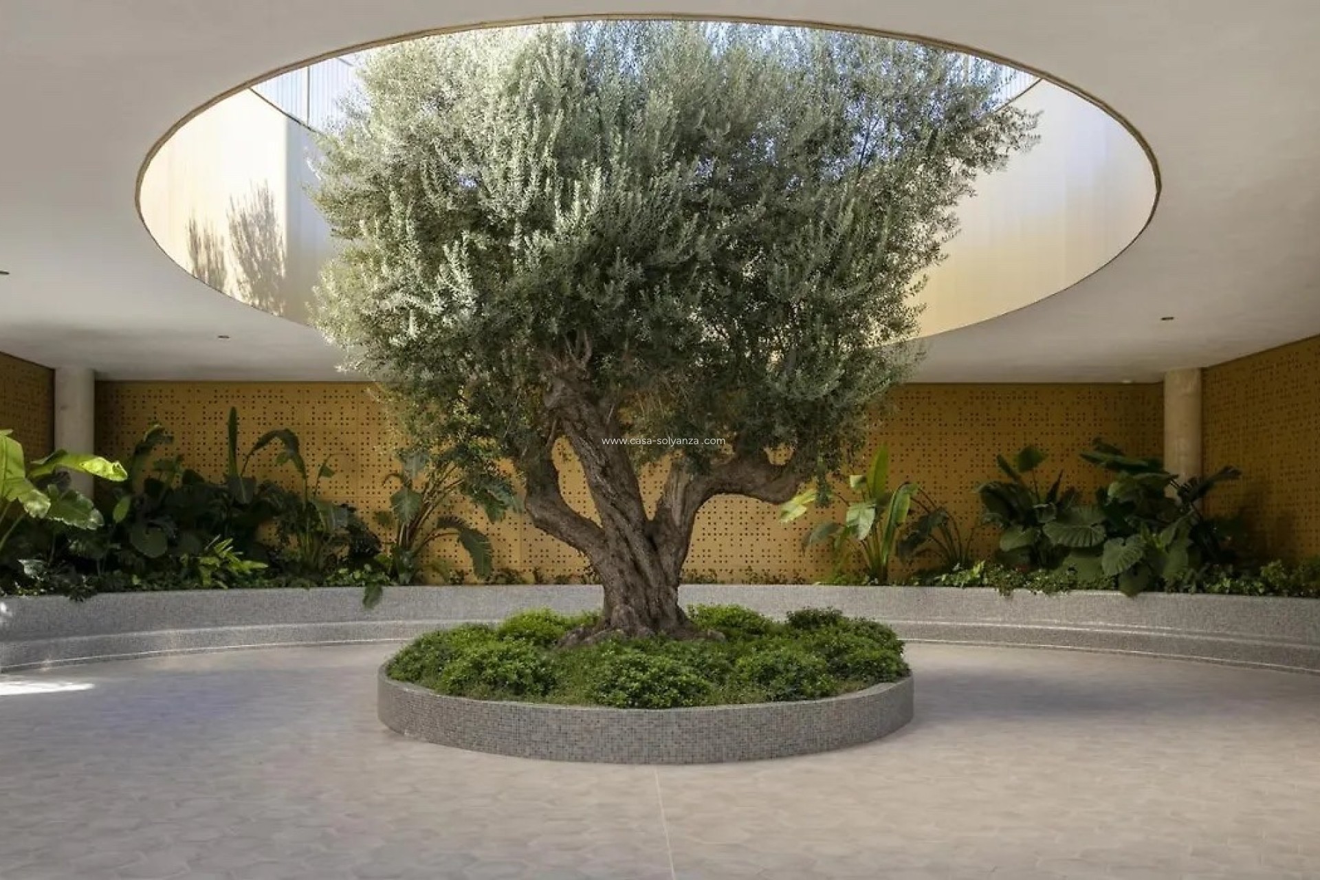 Revente - Appartement - Benidorm - Costa Blanca