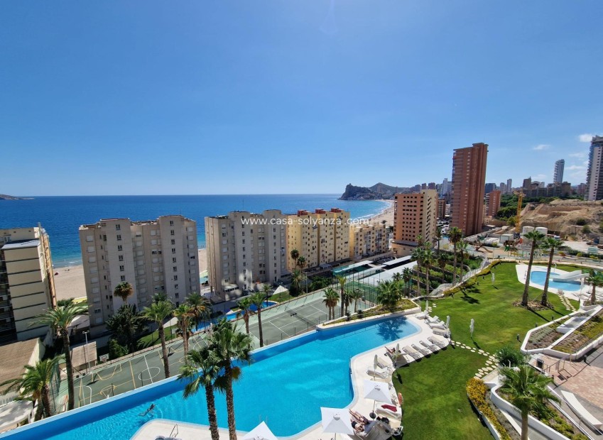 Revente - Appartement - Benidorm - Poniente