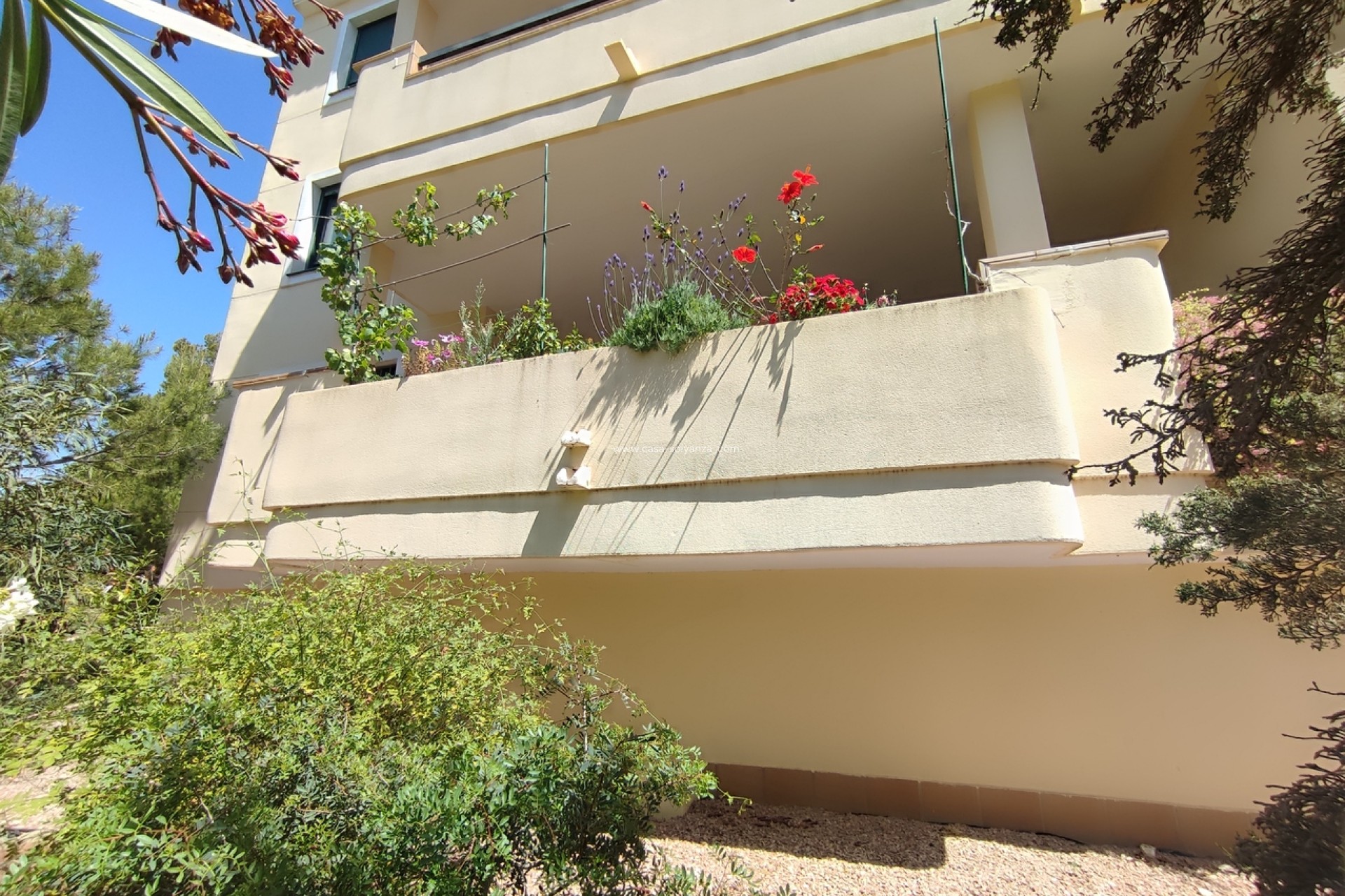 Revente - Appartement - Campoamor - Costa Blanca