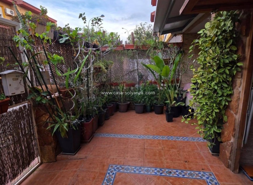 Revente - Appartement - El Palmar - Zona Centro