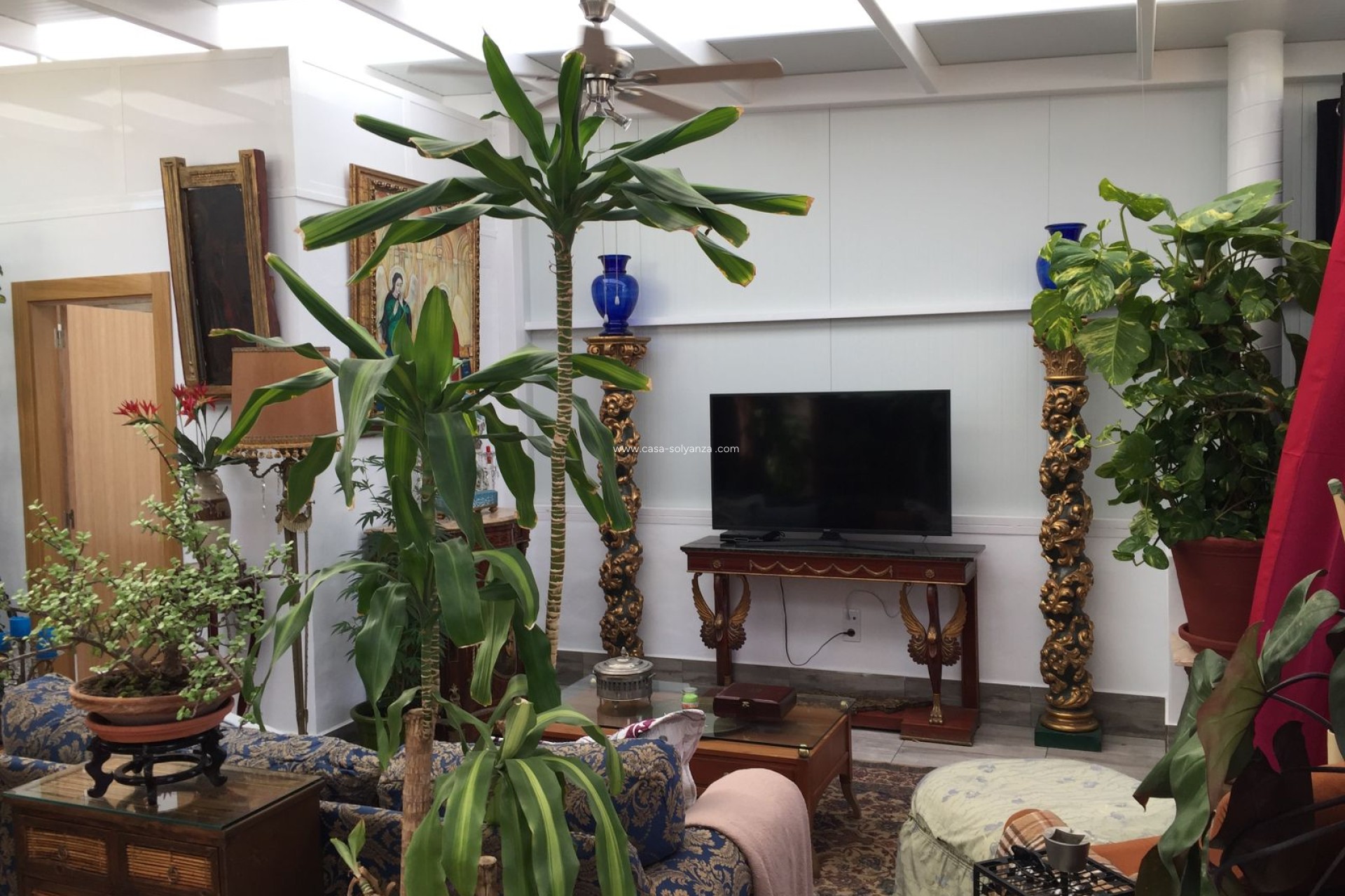 Revente - Appartement - Guardamar del Segura - 0