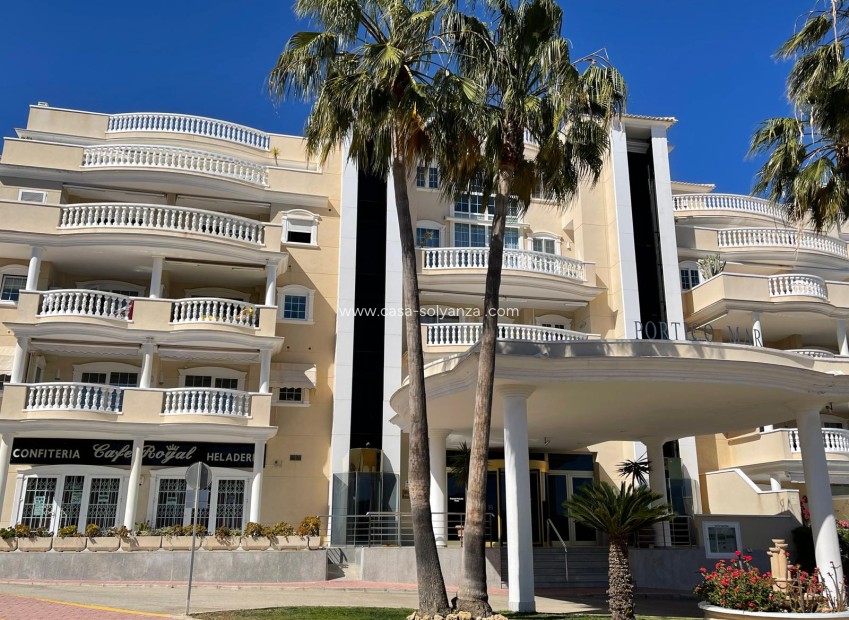 Revente - Appartement - Guardamar del Segura - 0