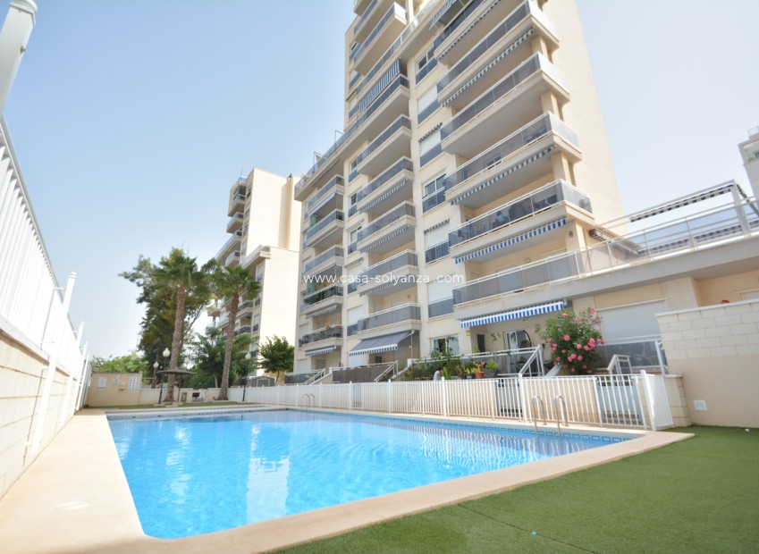 Revente - Appartement - Guardamar del Segura - Costa Blanca