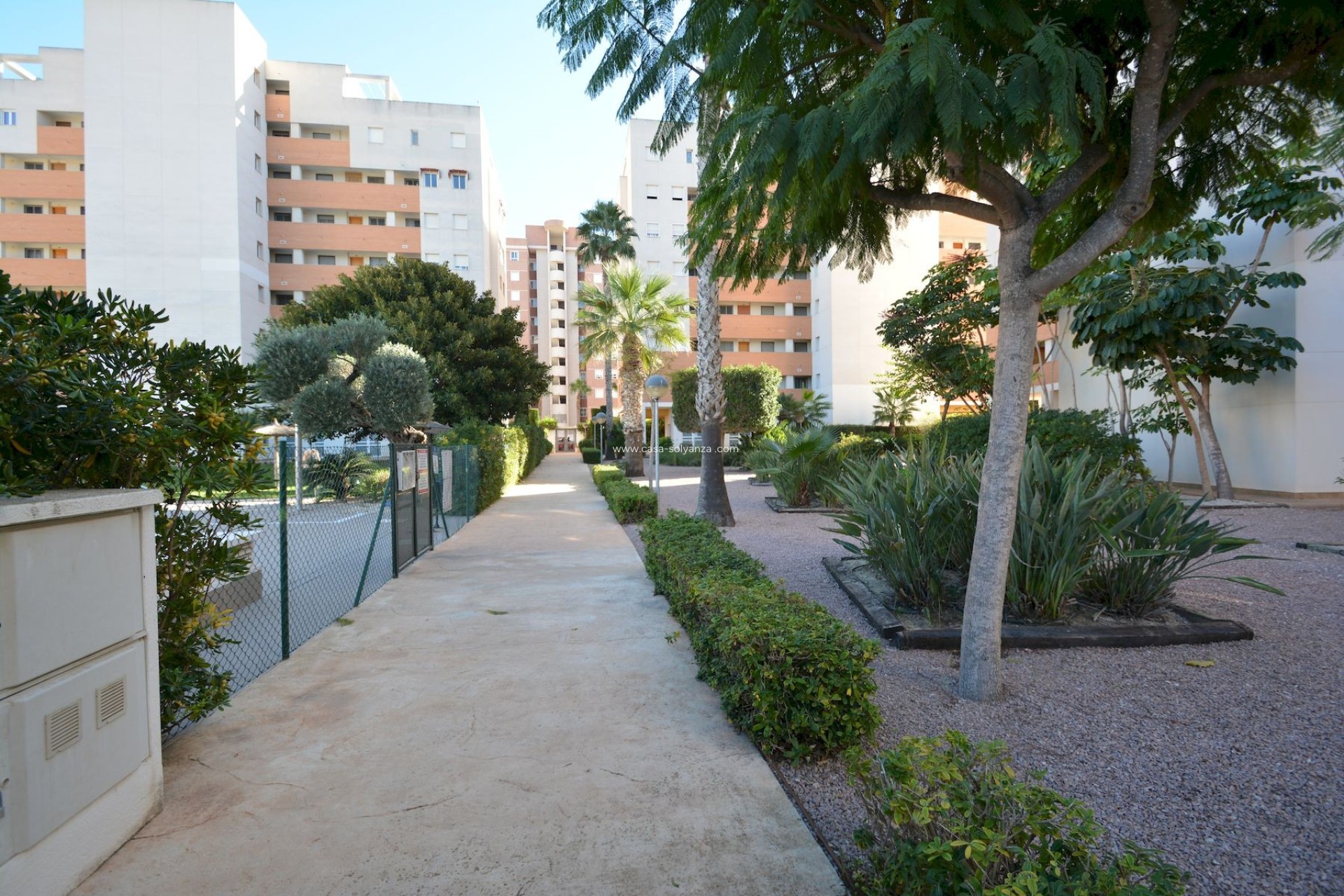 Revente - Appartement - Guardamar del Segura - Costa Blanca
