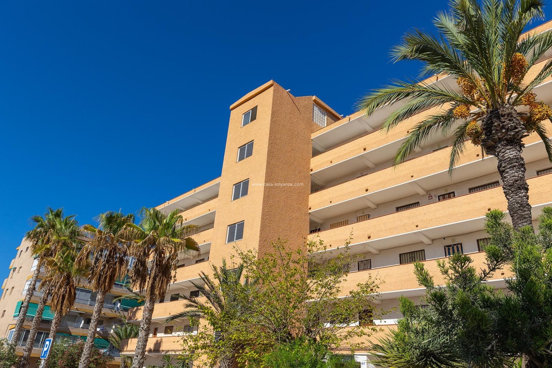 Revente - Appartement - Guardamar del Segura - Costa Blanca