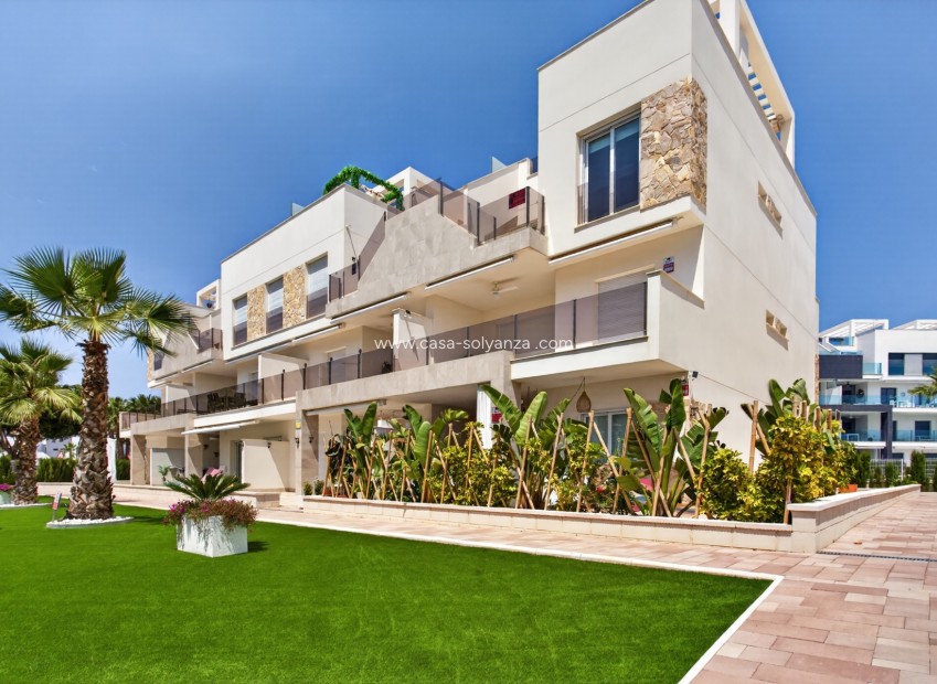 Revente - Appartement - Guardamar del Segura - Costa Blanca