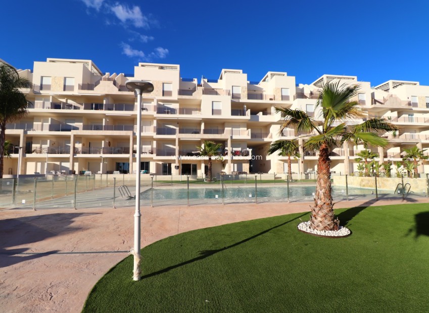 Revente - Appartement - Guardamar del Segura - El Raso