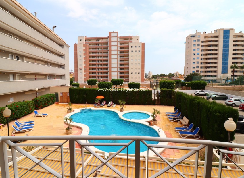 Revente - Appartement - Guardamar del Segura - Guardamar del Segura - Town