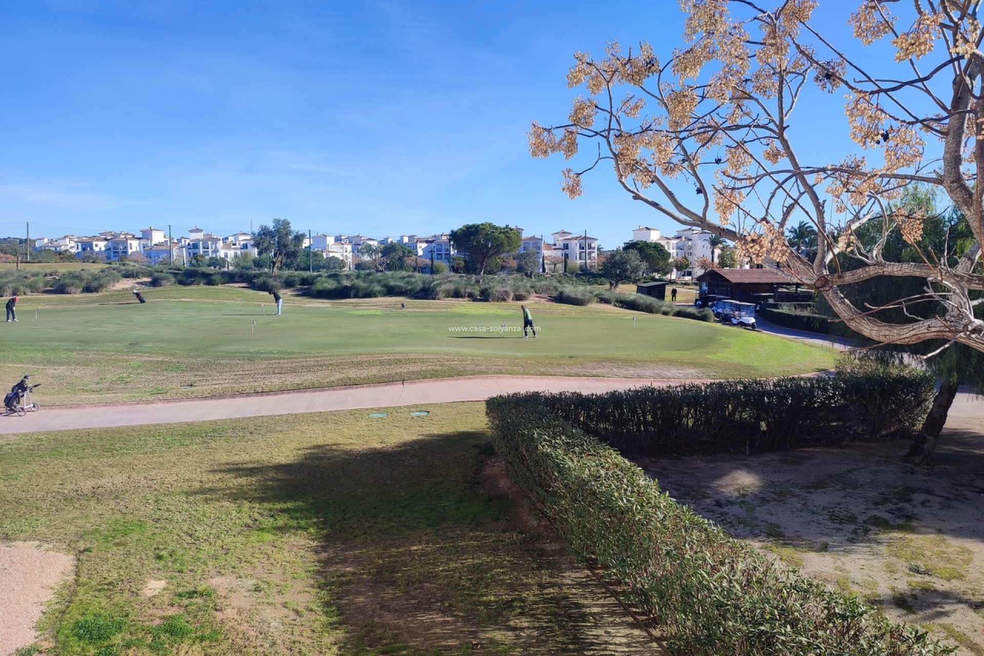 Revente - Appartement - Hacienda Riquelme Golf Resort - Inland