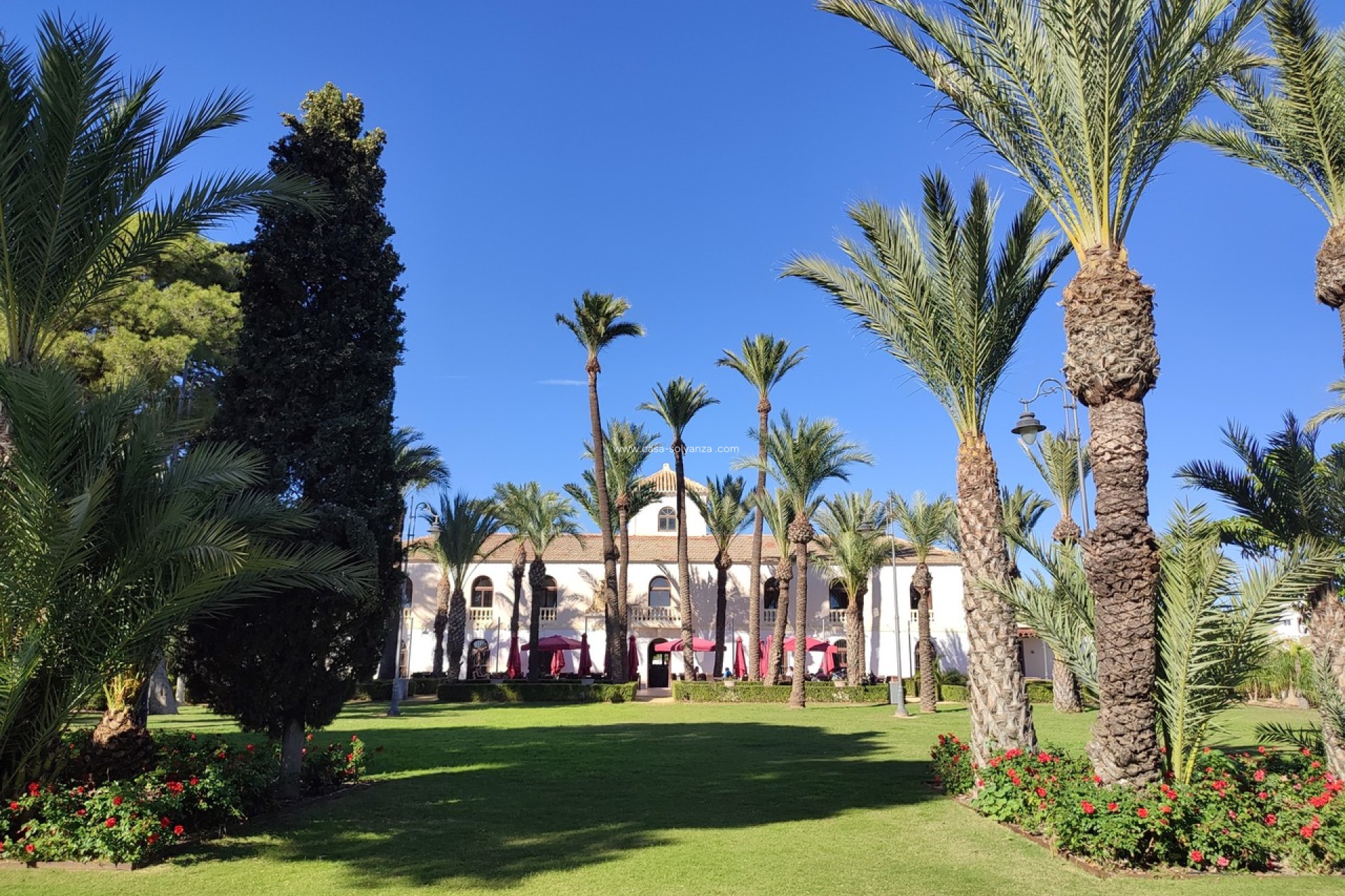 Revente - Appartement - Hacienda Riquelme Golf Resort - Inland