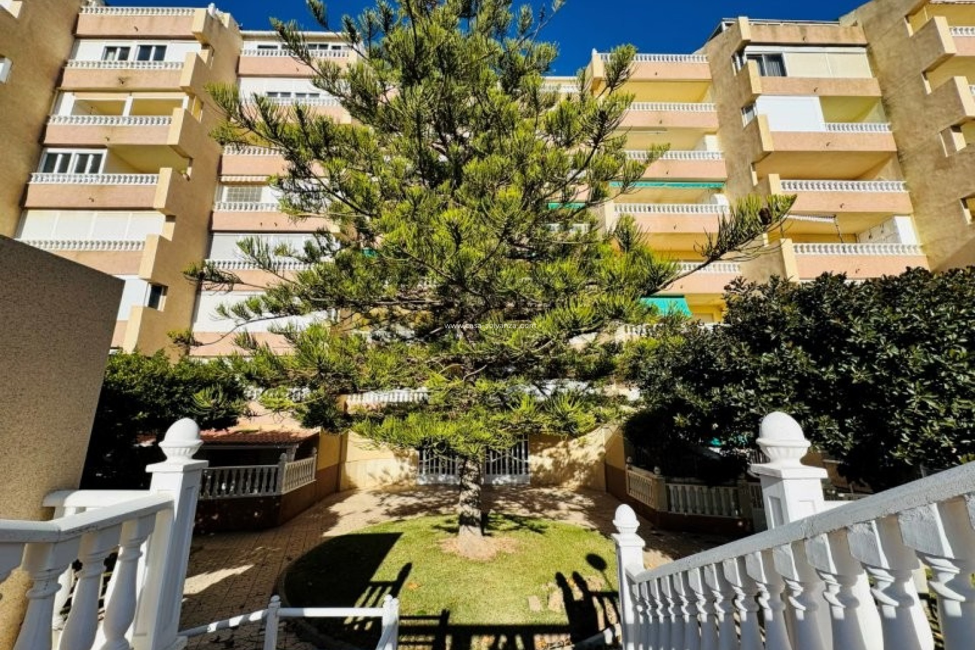 Revente - Appartement - La Mata - Alanis