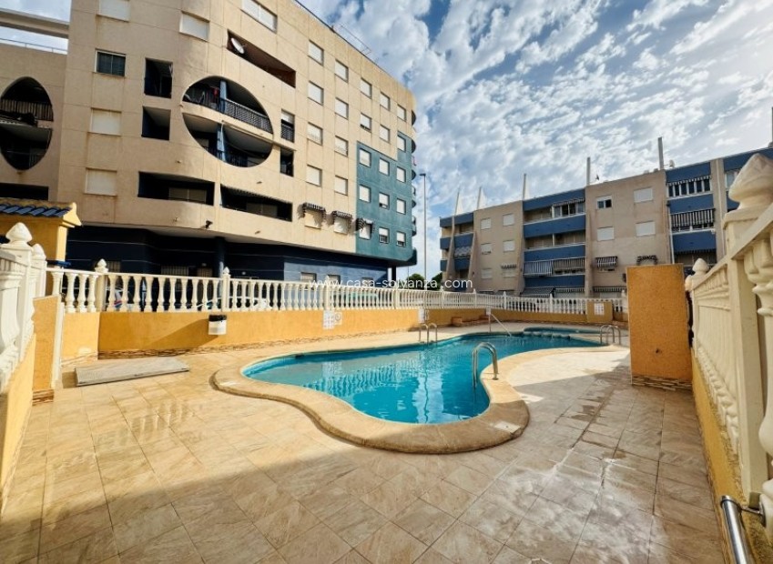 Revente - Appartement - La Mata - Costa Blanca