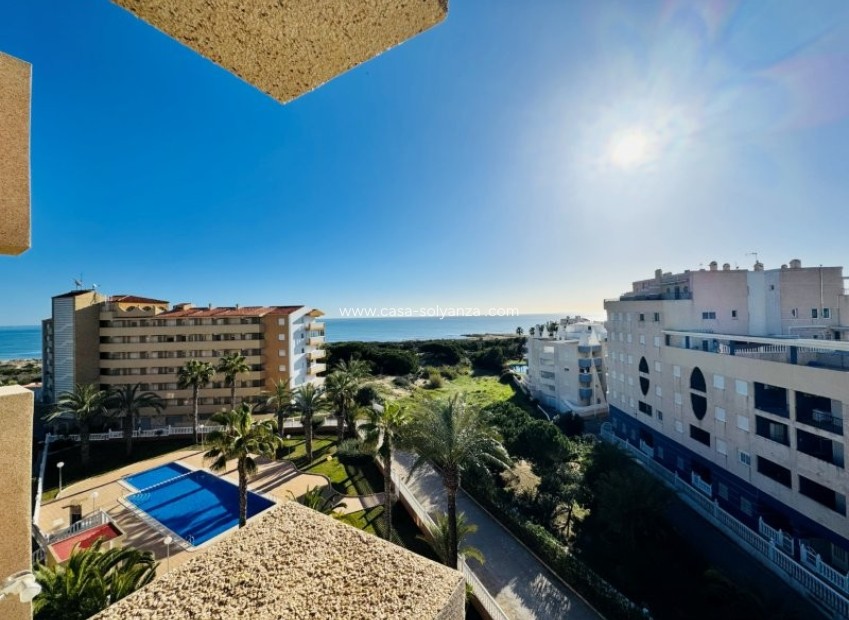 Revente - Appartement - La Mata - Costa Blanca