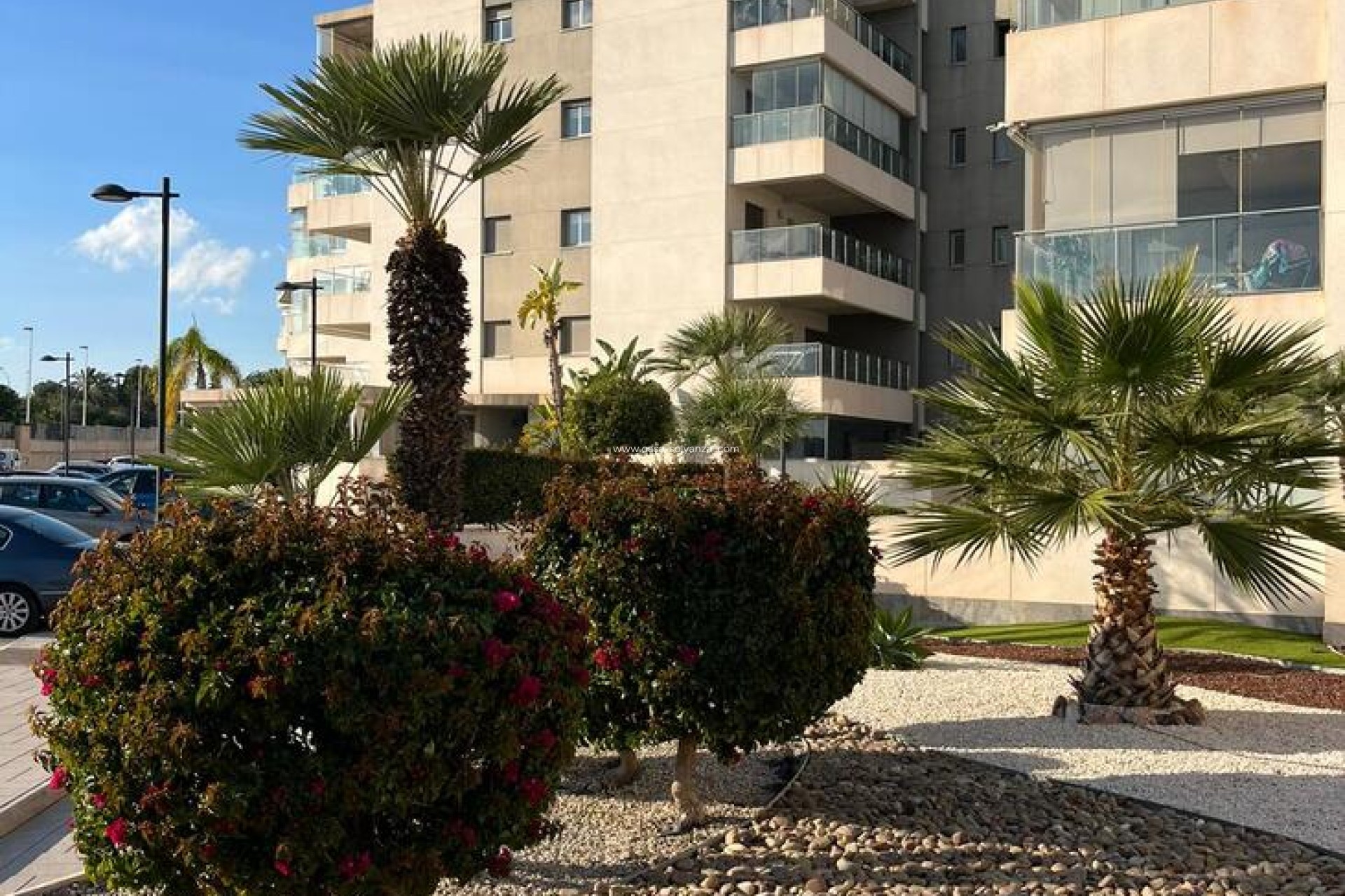 Revente - Appartement - Los Dolses - Inland