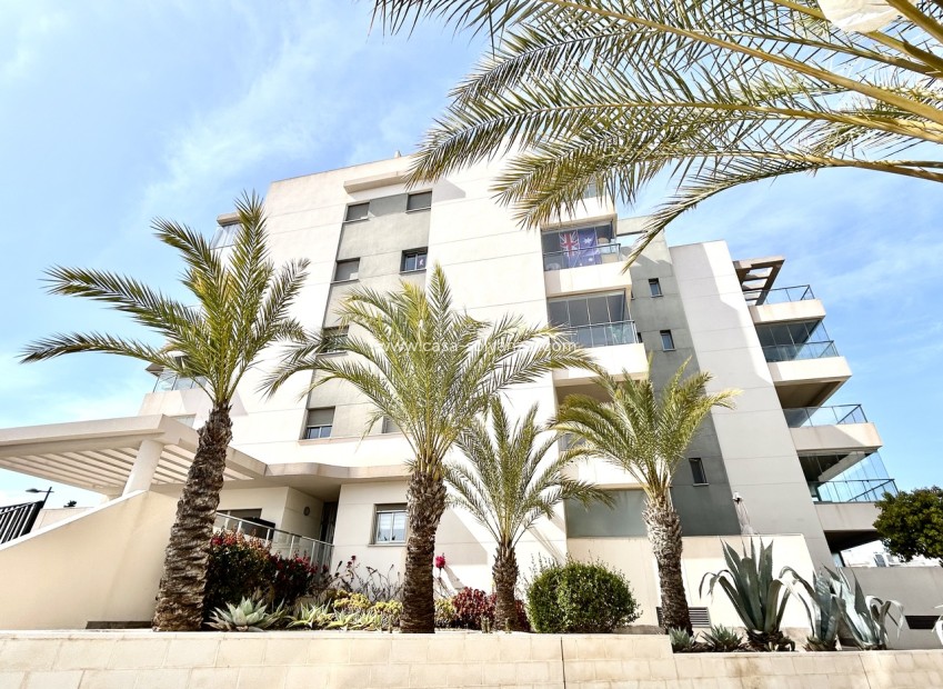 Revente - Appartement - Los Dolses - Inland