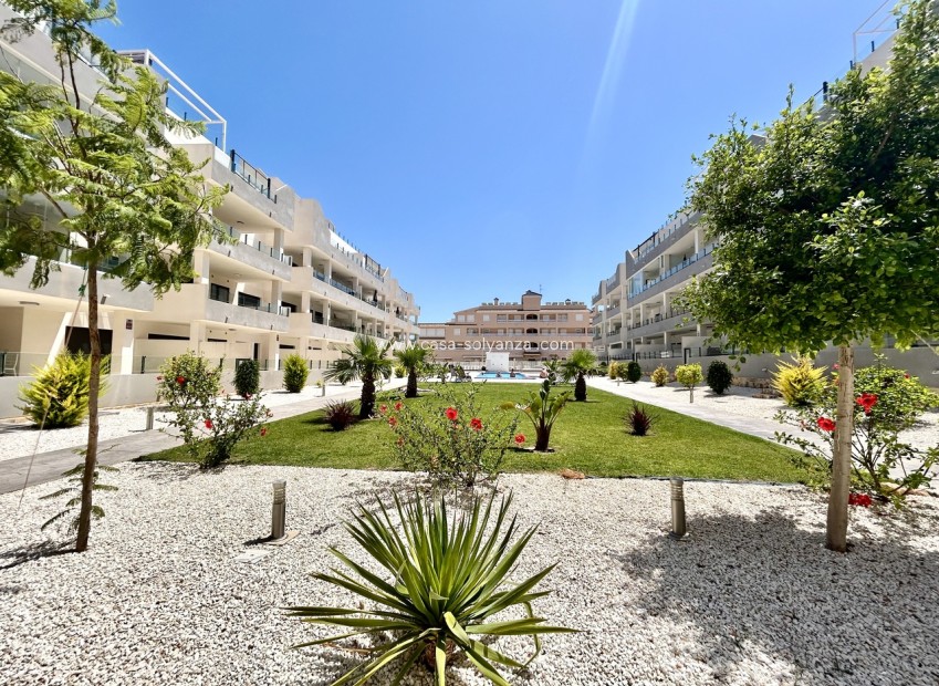 Revente - Appartement - Los Dolses - Inland