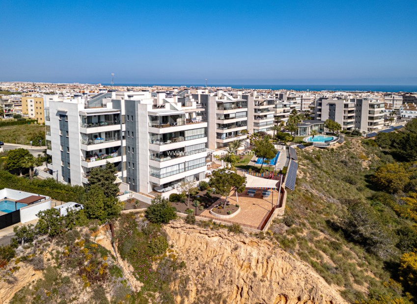 Revente - Appartement - Los Dolses - Pimienta