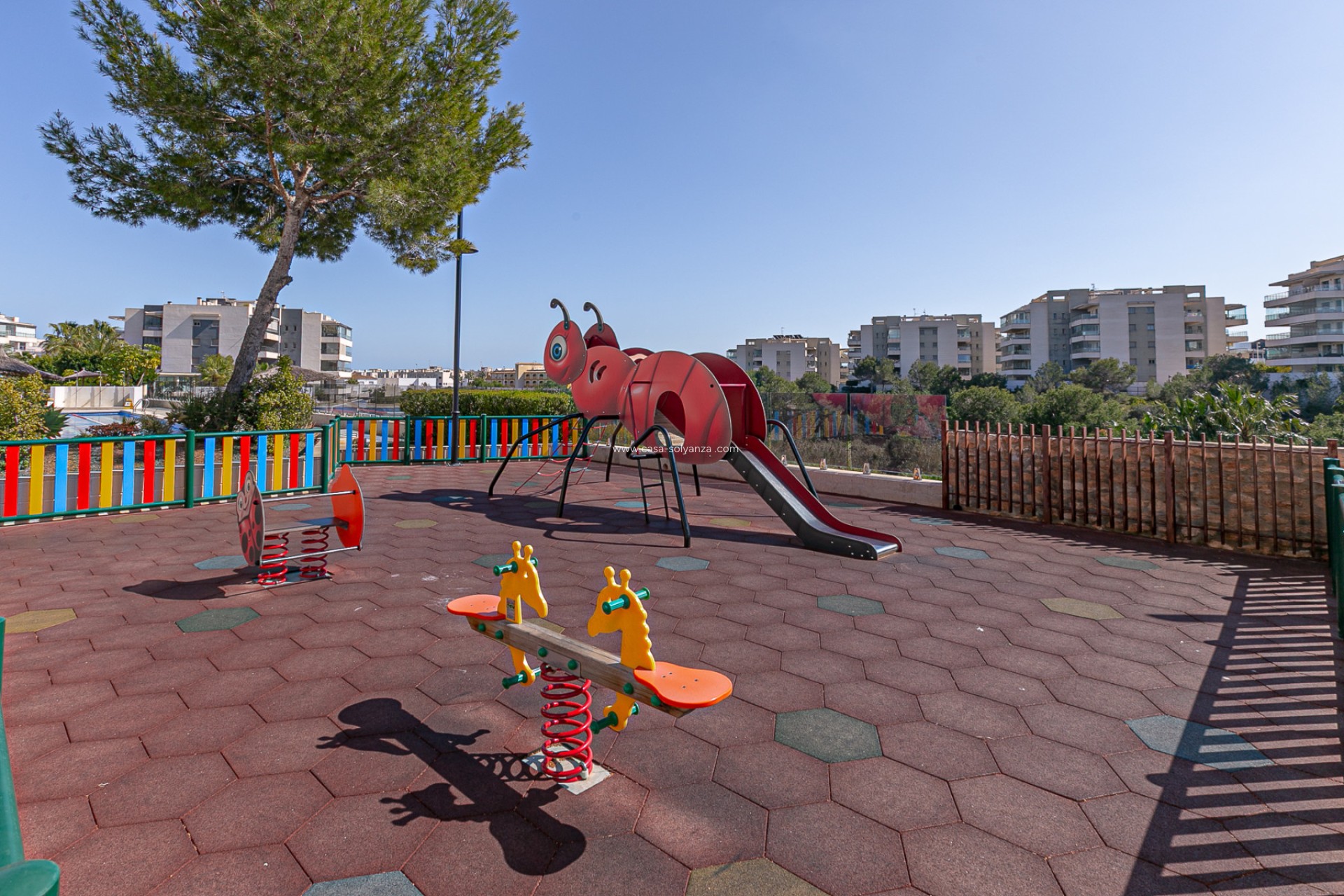 Revente - Appartement - Los Dolses - Pimienta