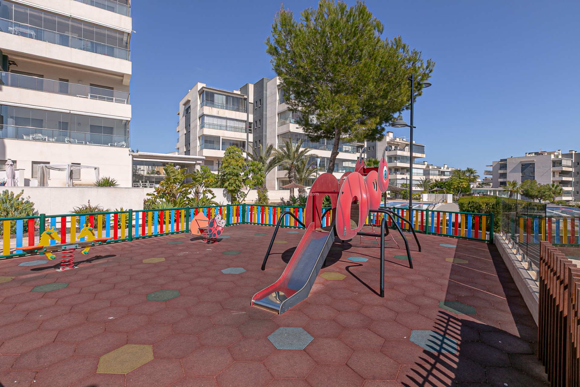 Revente - Appartement - Los Dolses - Pimienta
