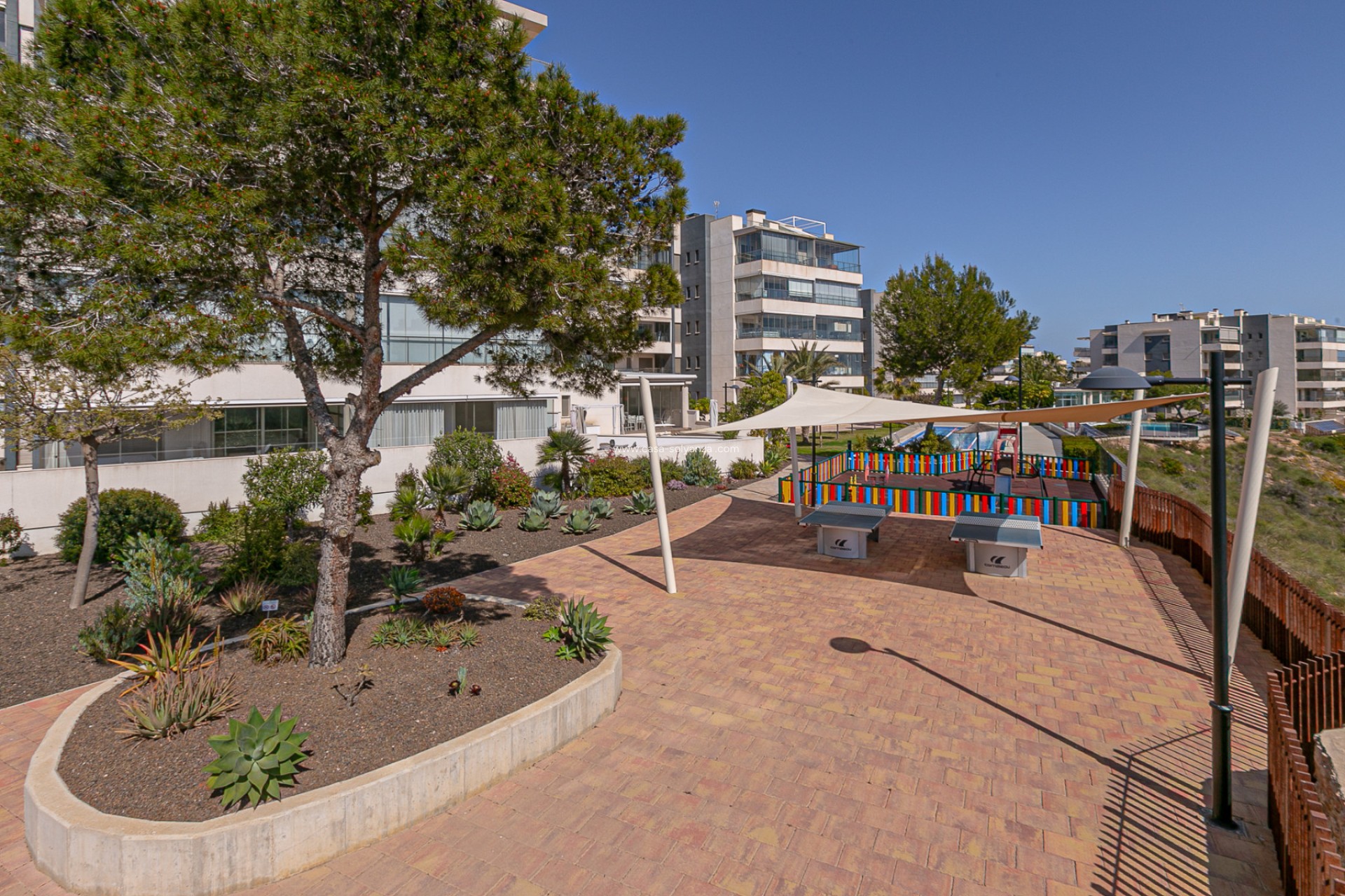 Revente - Appartement - Los Dolses - Pimienta