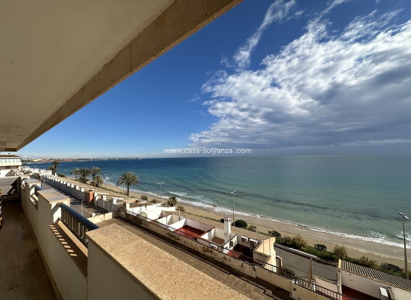 Revente - Appartement - Mil Palmeras - Costa Blanca