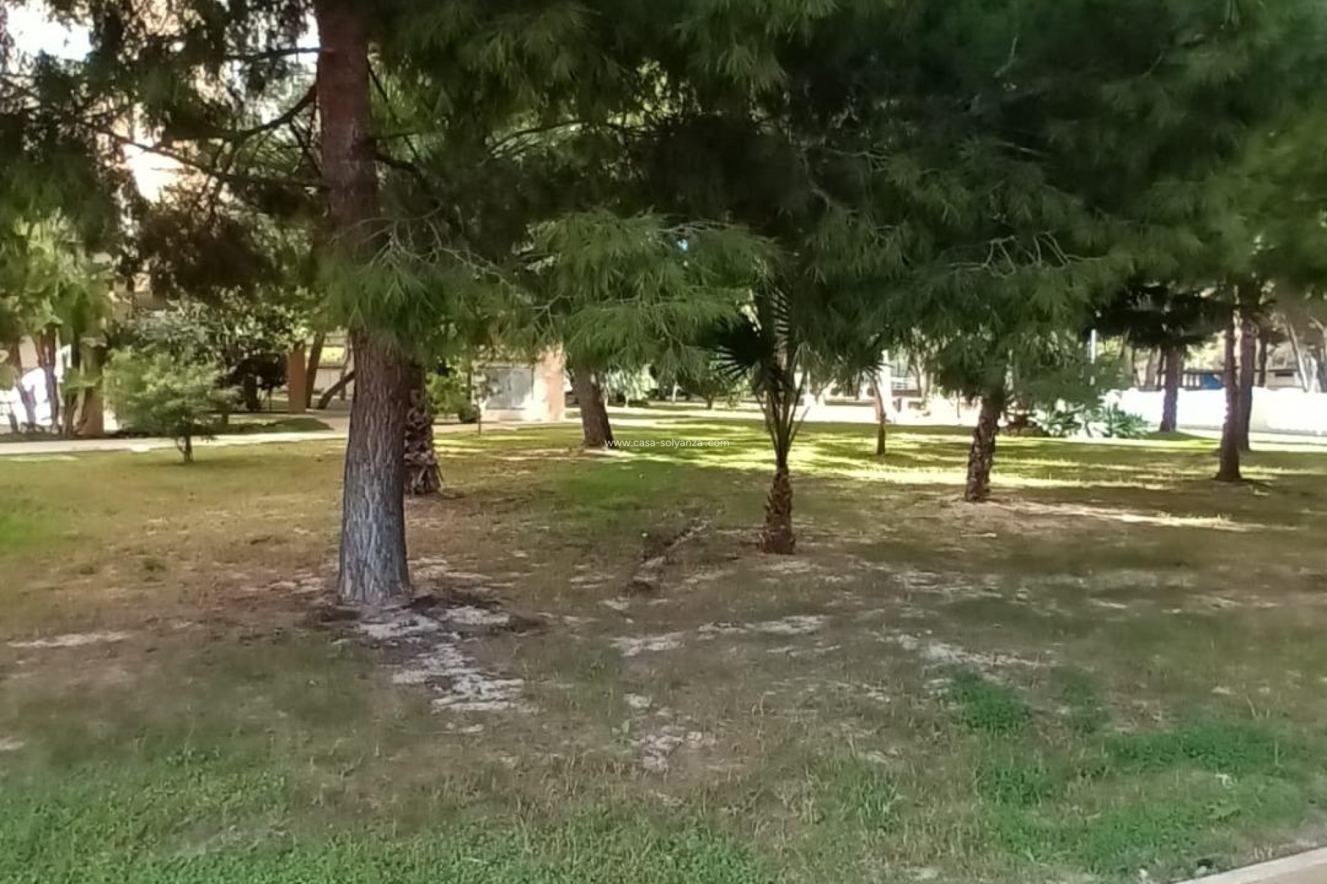 Revente - Appartement - Orihuela Costa - Campoamor