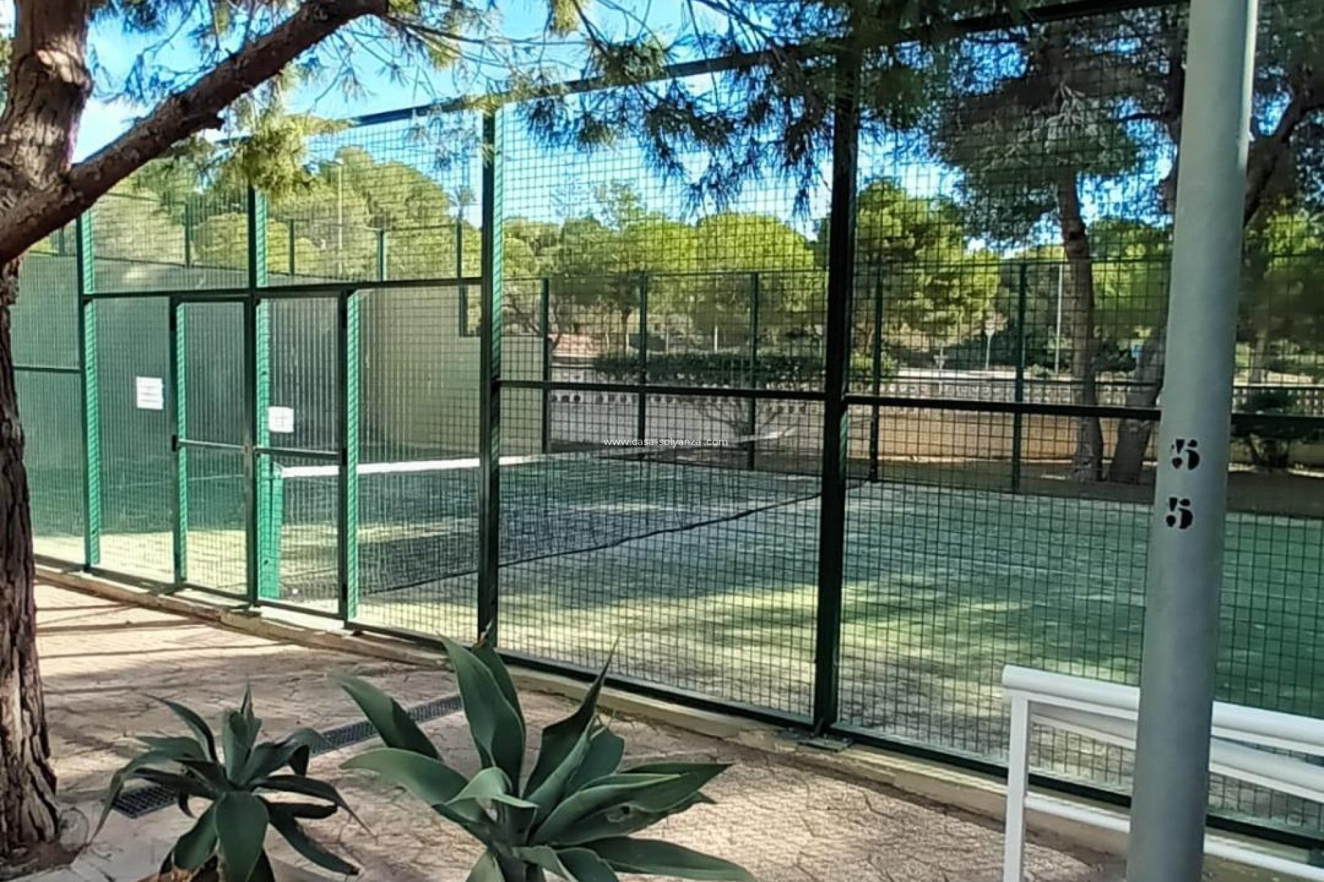 Revente - Appartement - Orihuela Costa - Campoamor