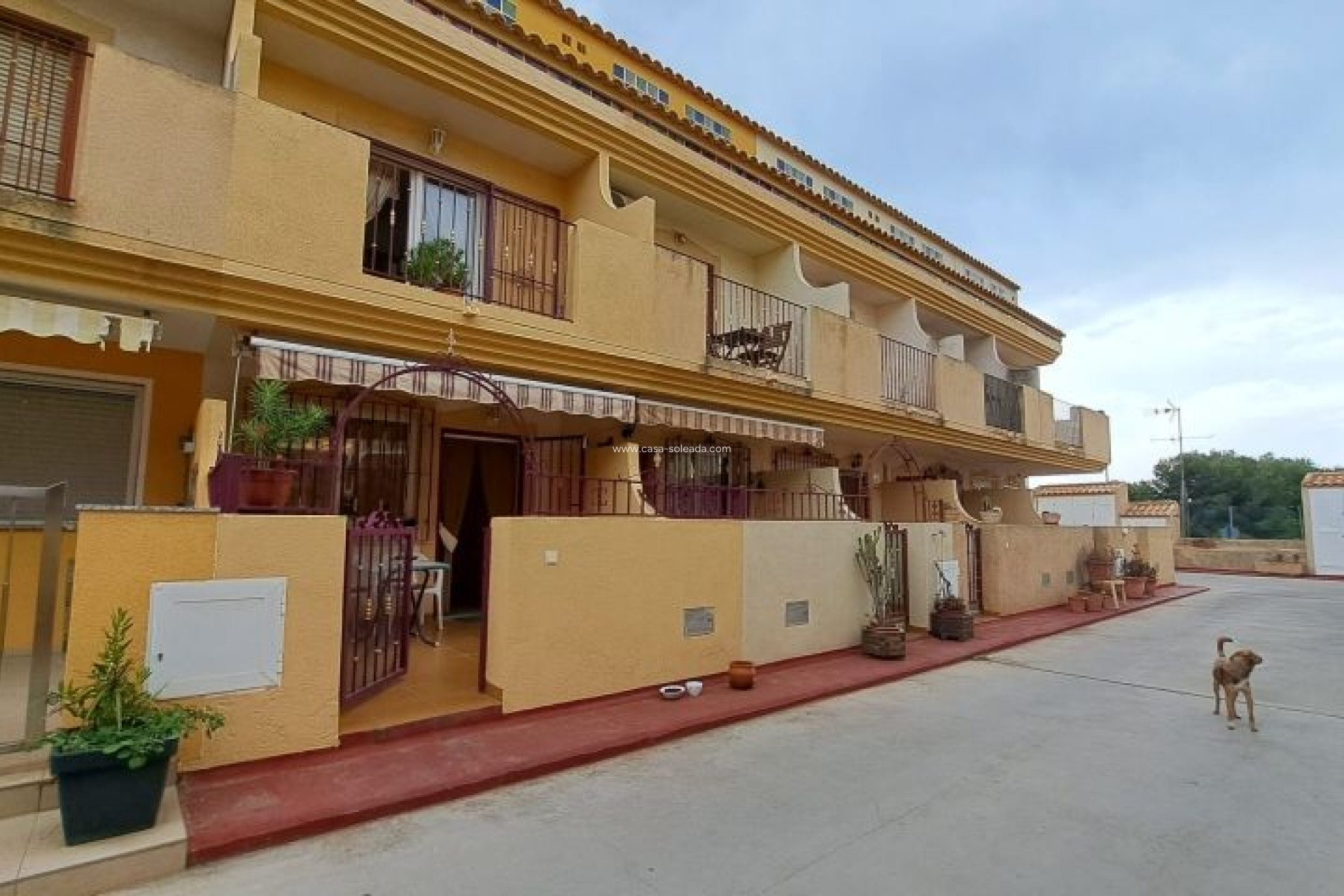 Revente - Appartement - Orihuela Costa - Costa Blanca