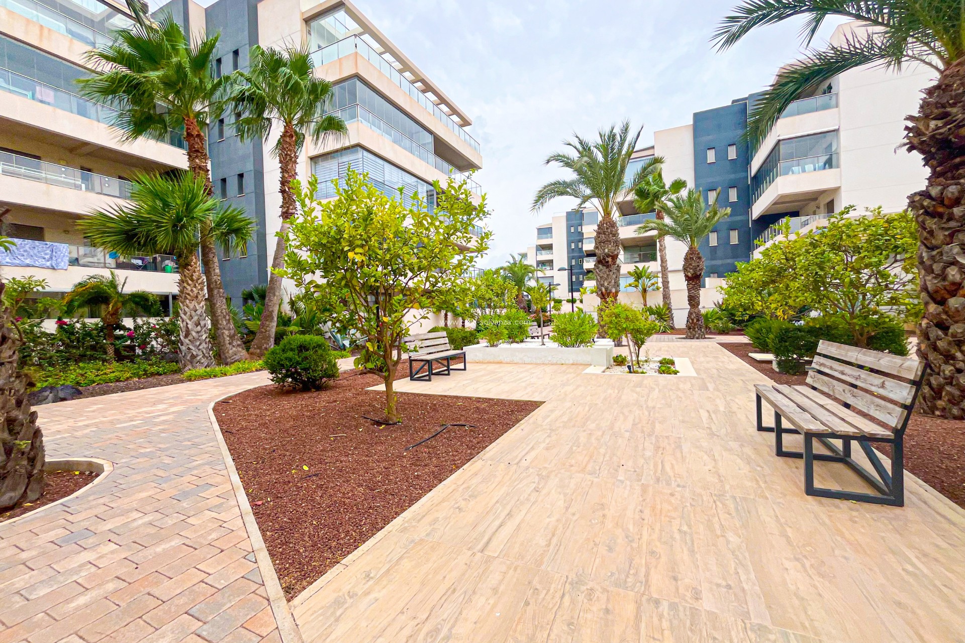 Revente - Appartement - Orihuela Costa - Costa Blanca