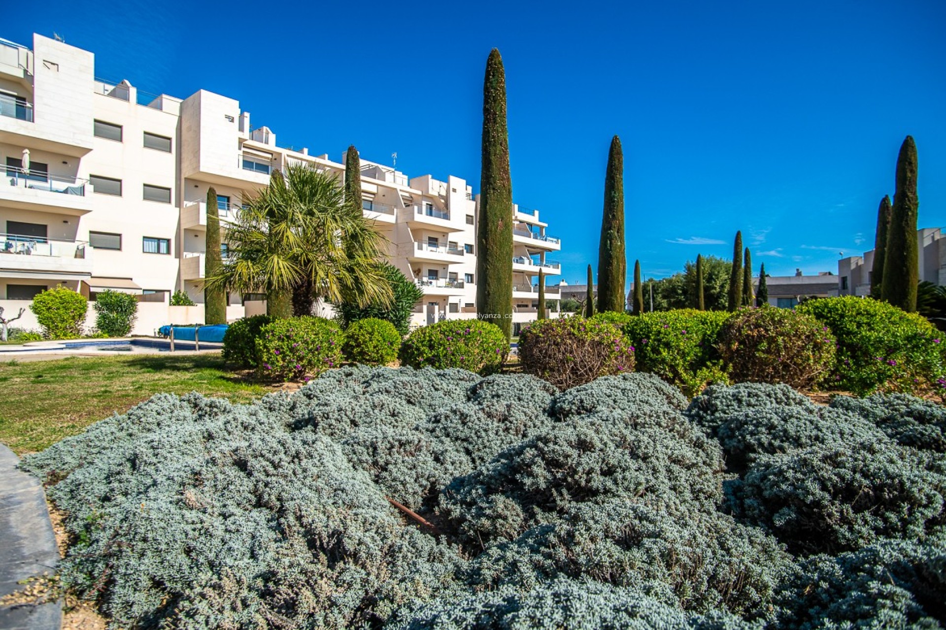Revente - Appartement - Orihuela Costa - Costa Blanca