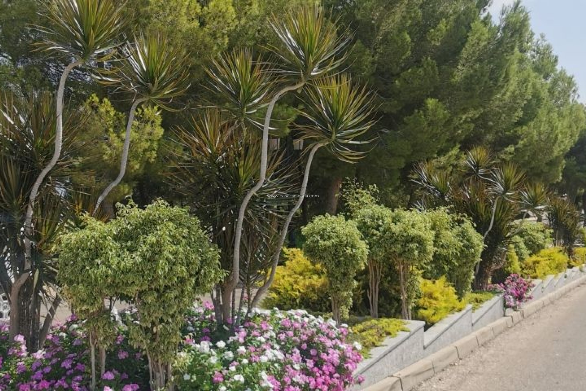 Revente - Appartement - Orihuela Costa - Costa Blanca