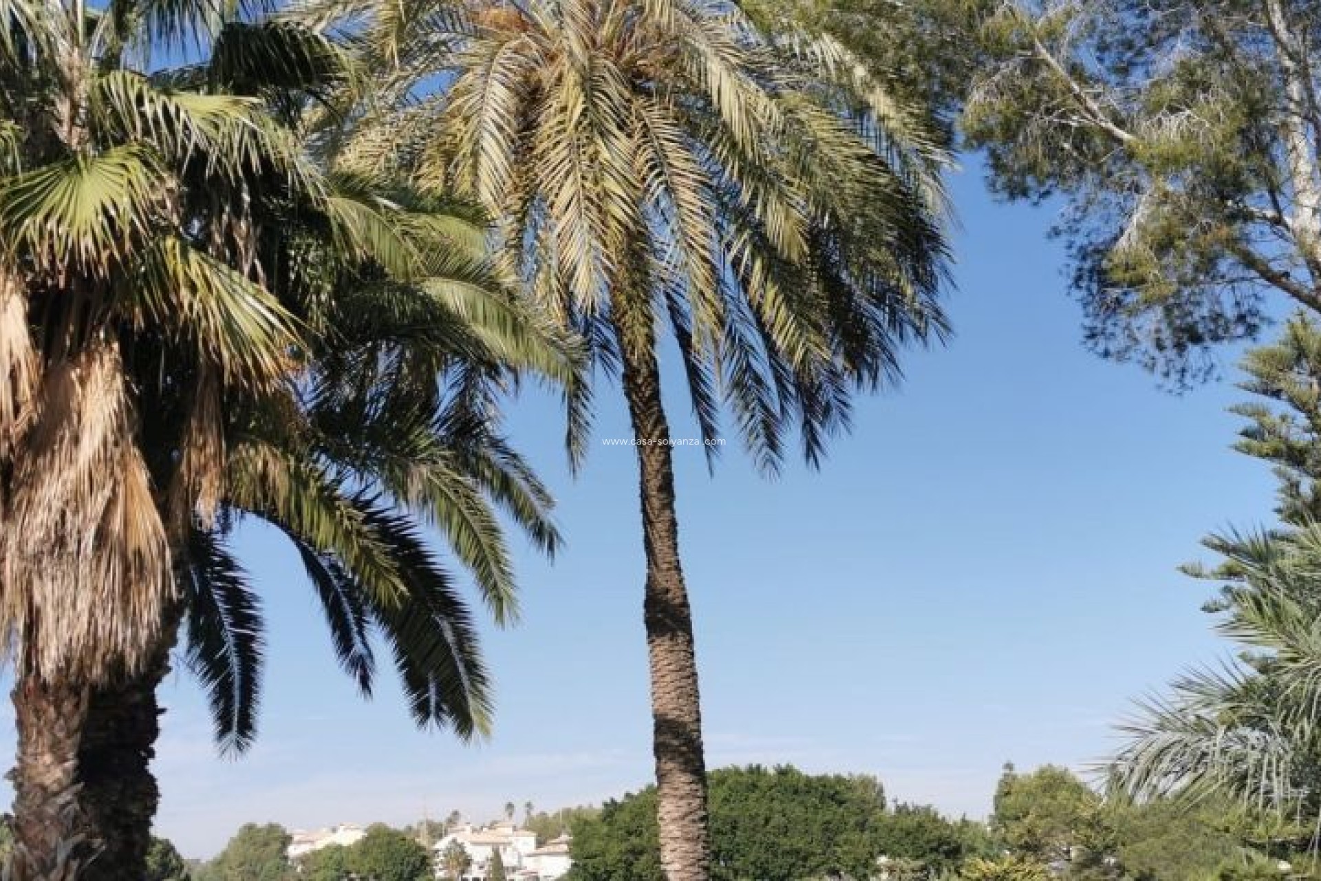 Revente - Appartement - Orihuela Costa - Costa Blanca