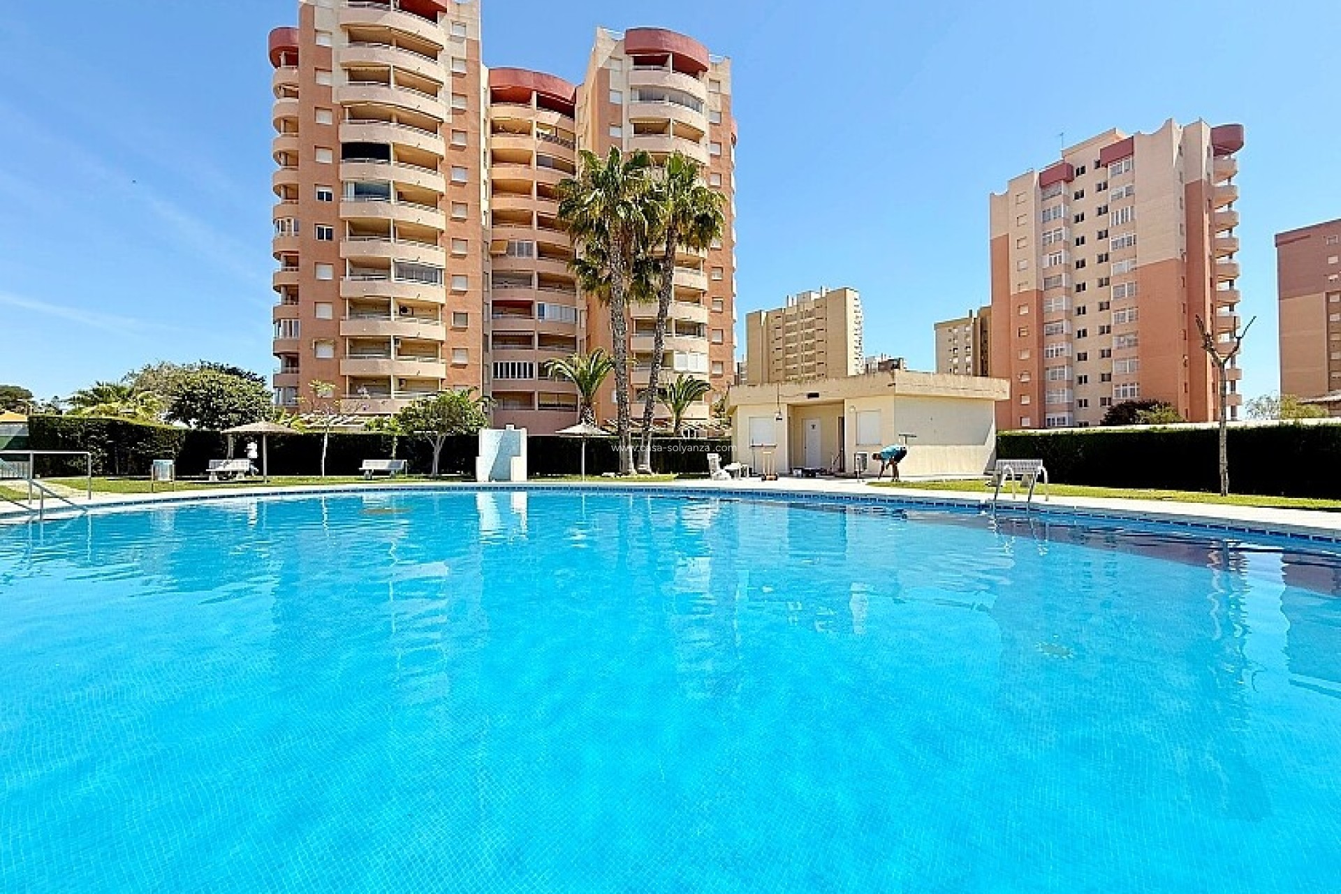 Revente - Appartement - Orihuela Costa - Dehesa De Campoamor