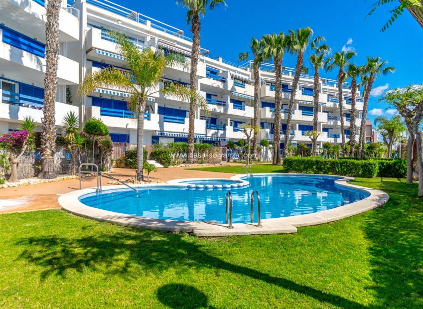 Revente - Appartement - Orihuela Costa - La Calma