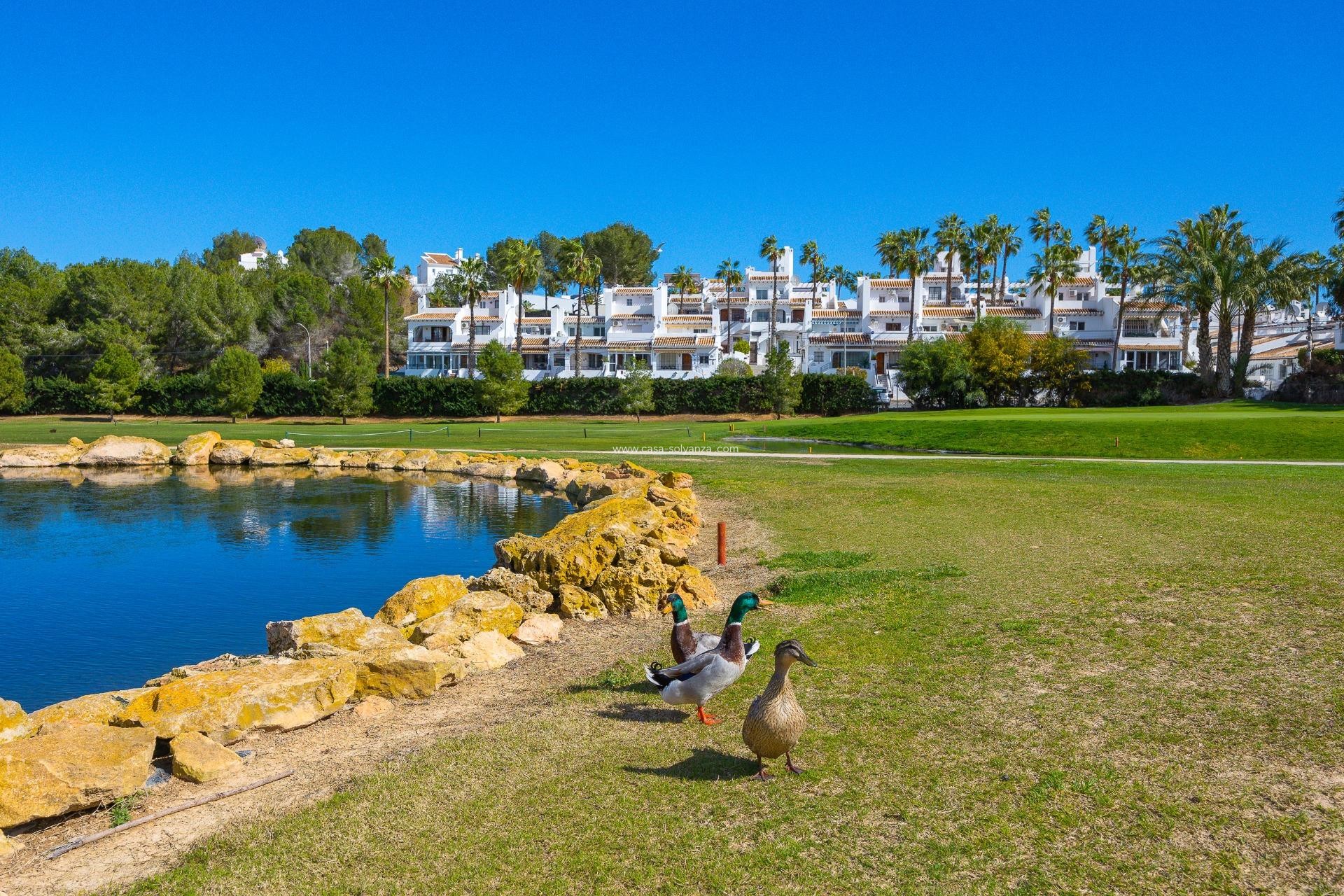 Revente - Appartement - Orihuela Costa - Las Filipinas