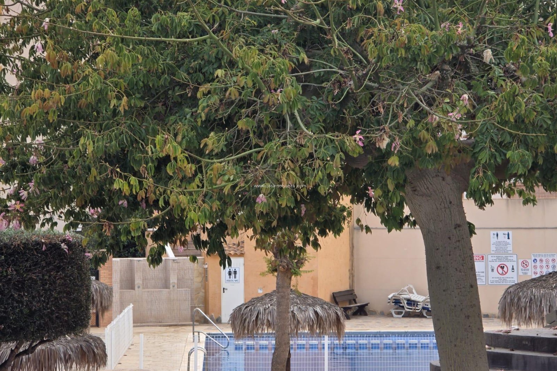 Revente - Appartement - Orihuela Costa - Lomas De Cabo Roig-los Dolses