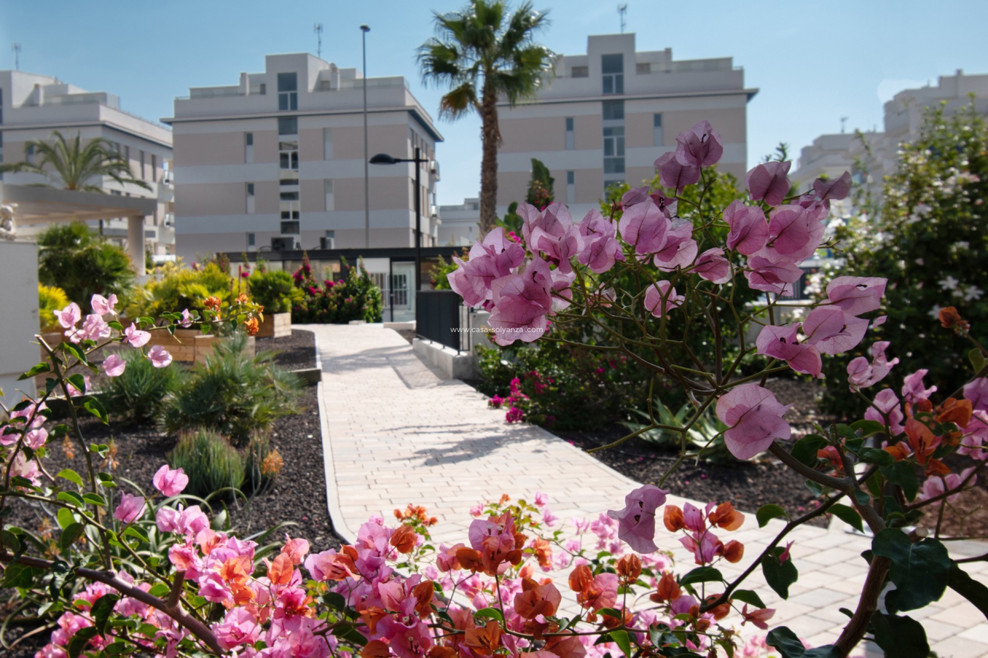 Revente - Appartement - Orihuela Costa - Los Dolses