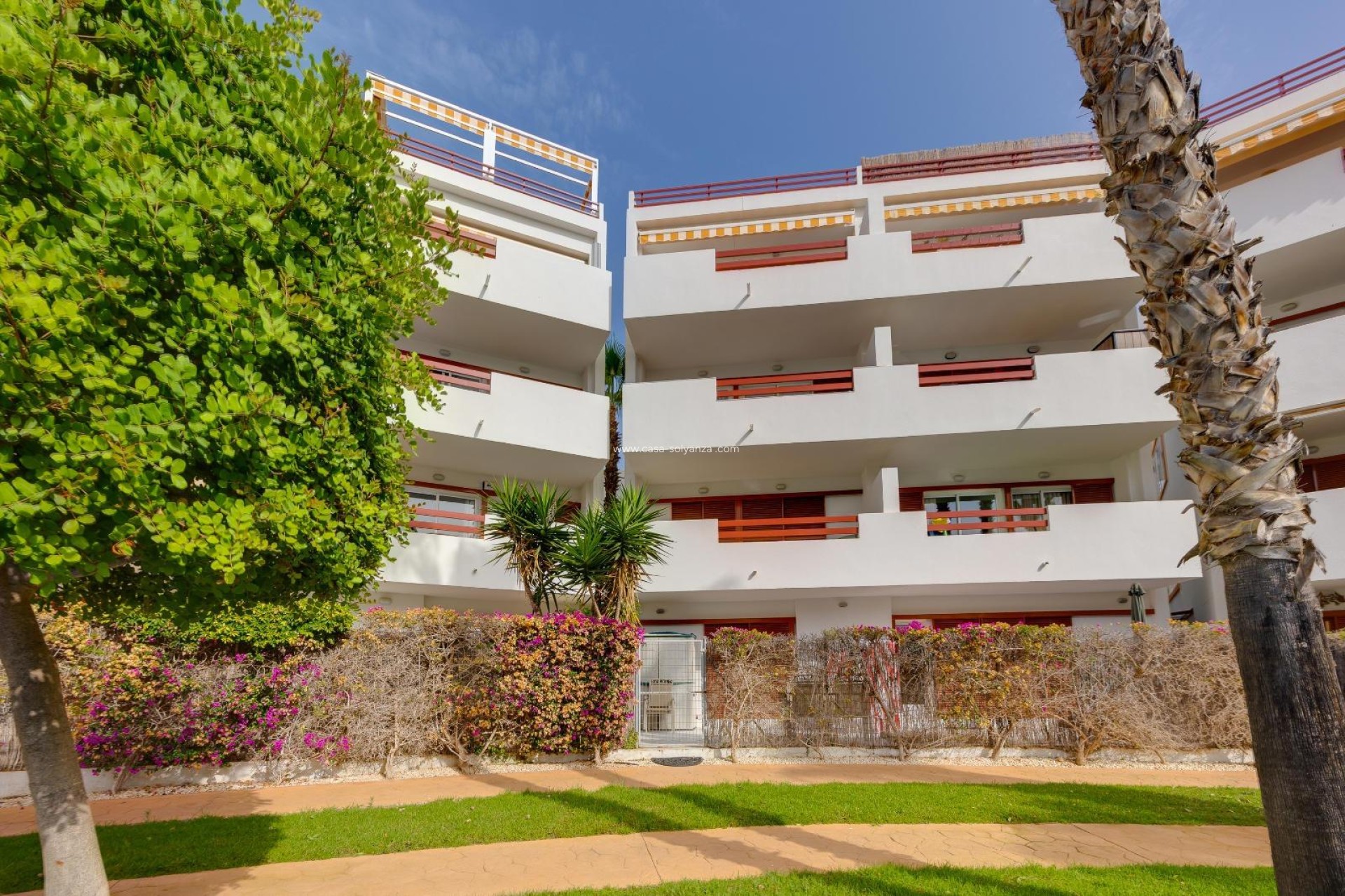 Revente - Appartement - Orihuela Costa - Playa Flamenca