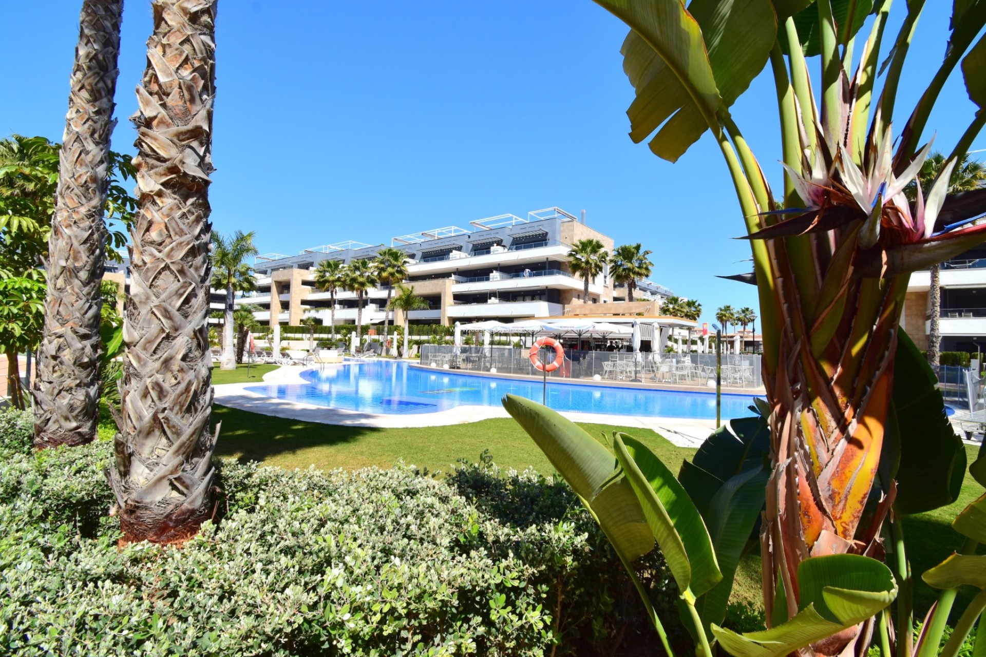 Revente - Appartement - Orihuela Costa - Playa Flamenca