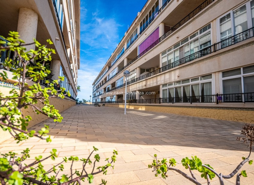 Revente - Appartement - ORIHUELA COSTA - Punta Prima