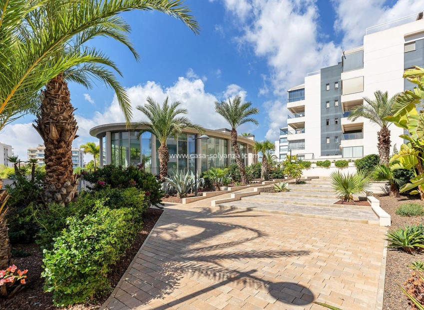 Revente - Appartement - Orihuela Costa - Villamartín
