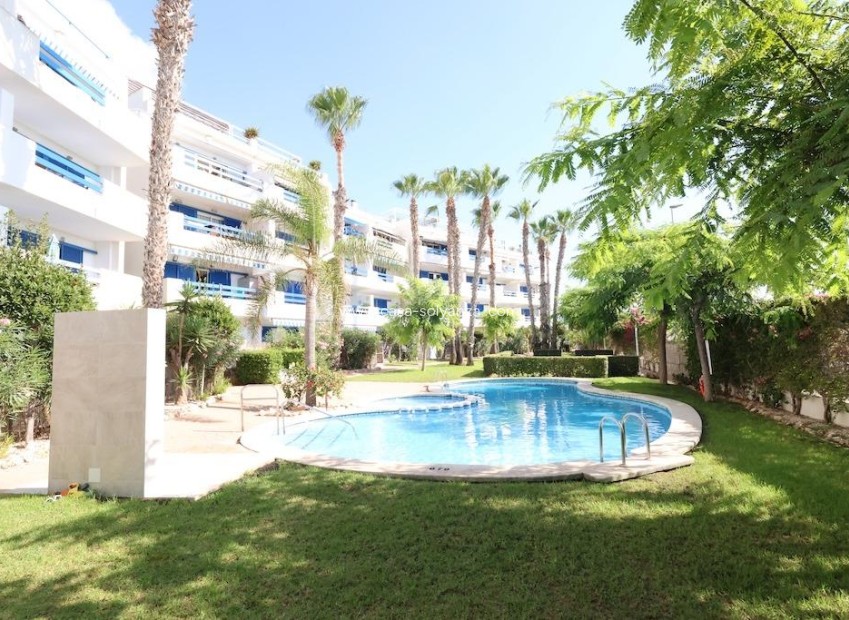 Revente - Appartement - Orihuela Costa