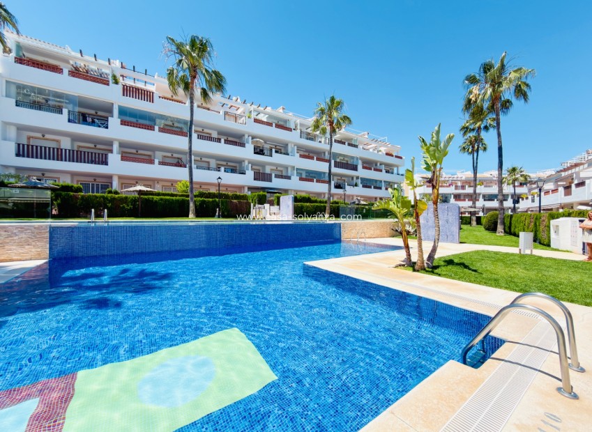 Revente - Appartement - Orihuela Costa